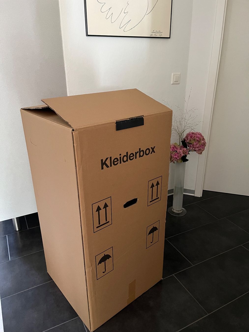 Cartons: Kleiderbox mit Stange – D'occasion à Hilterfingen par MAZ01