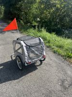 Veloanhänger nur 2x gebraucht 