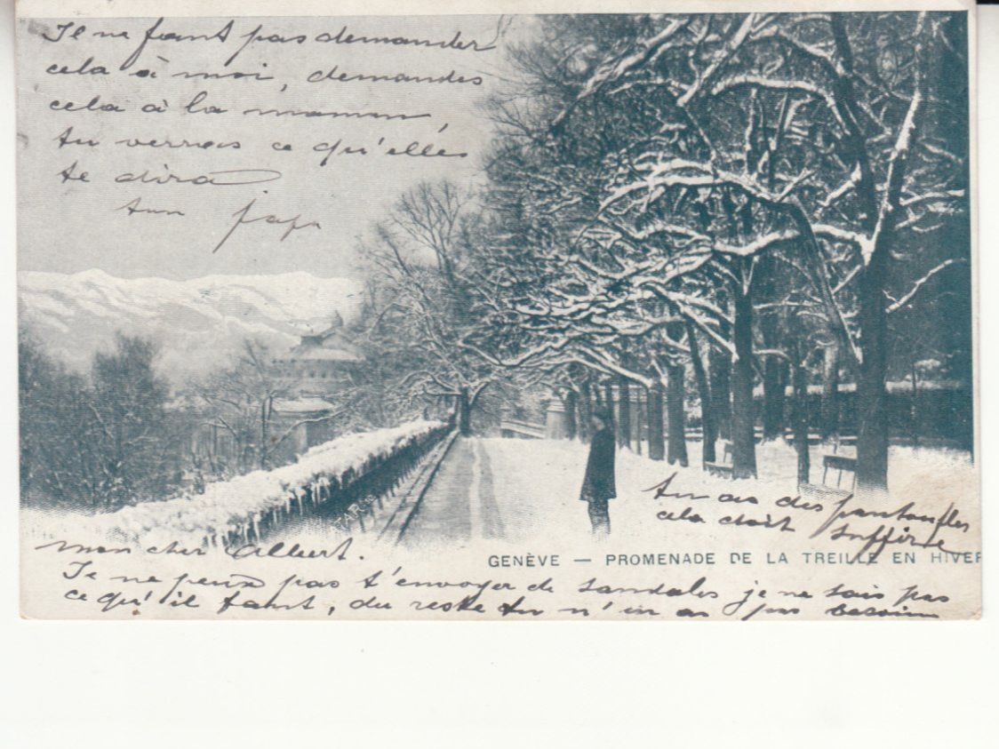 Cartoline postali: Genève 1904, mit Werbeeindruck Biscuits Germain – Usato da Bürglen TG venduto da StampGraf