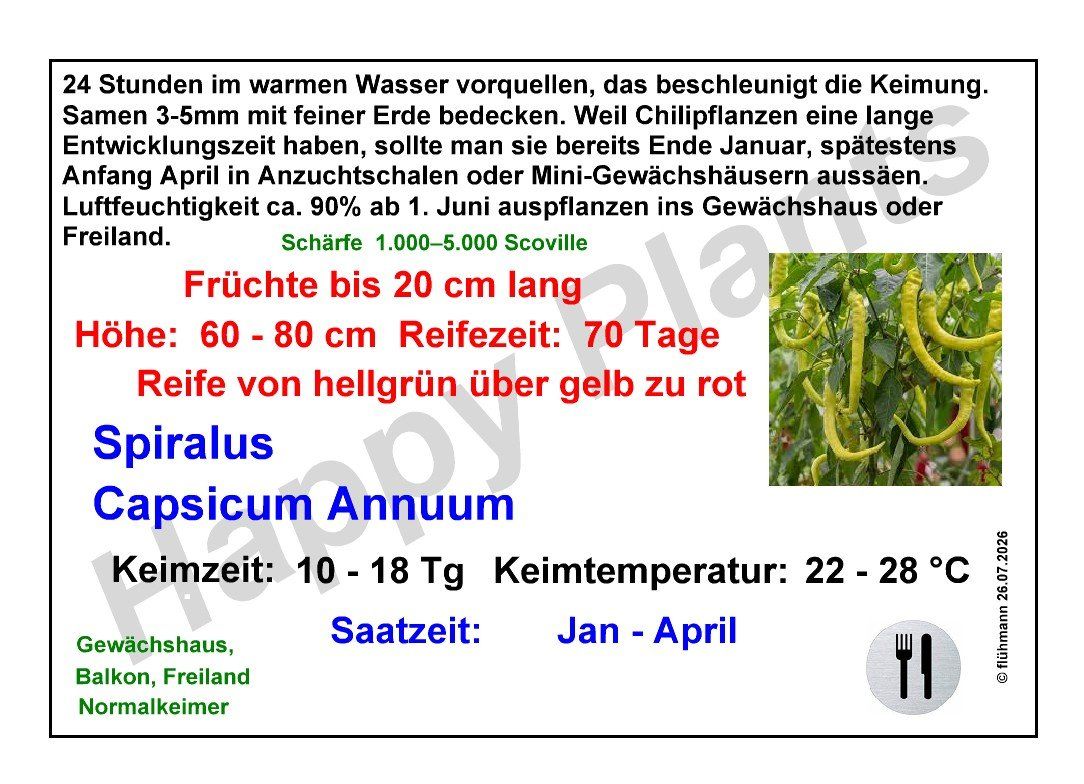 Pflanzen & Samen: Spiralus - Capsicum annuum - 30 Samen – Neu und originalverpackt aus Sumiswald von Cham14559 2