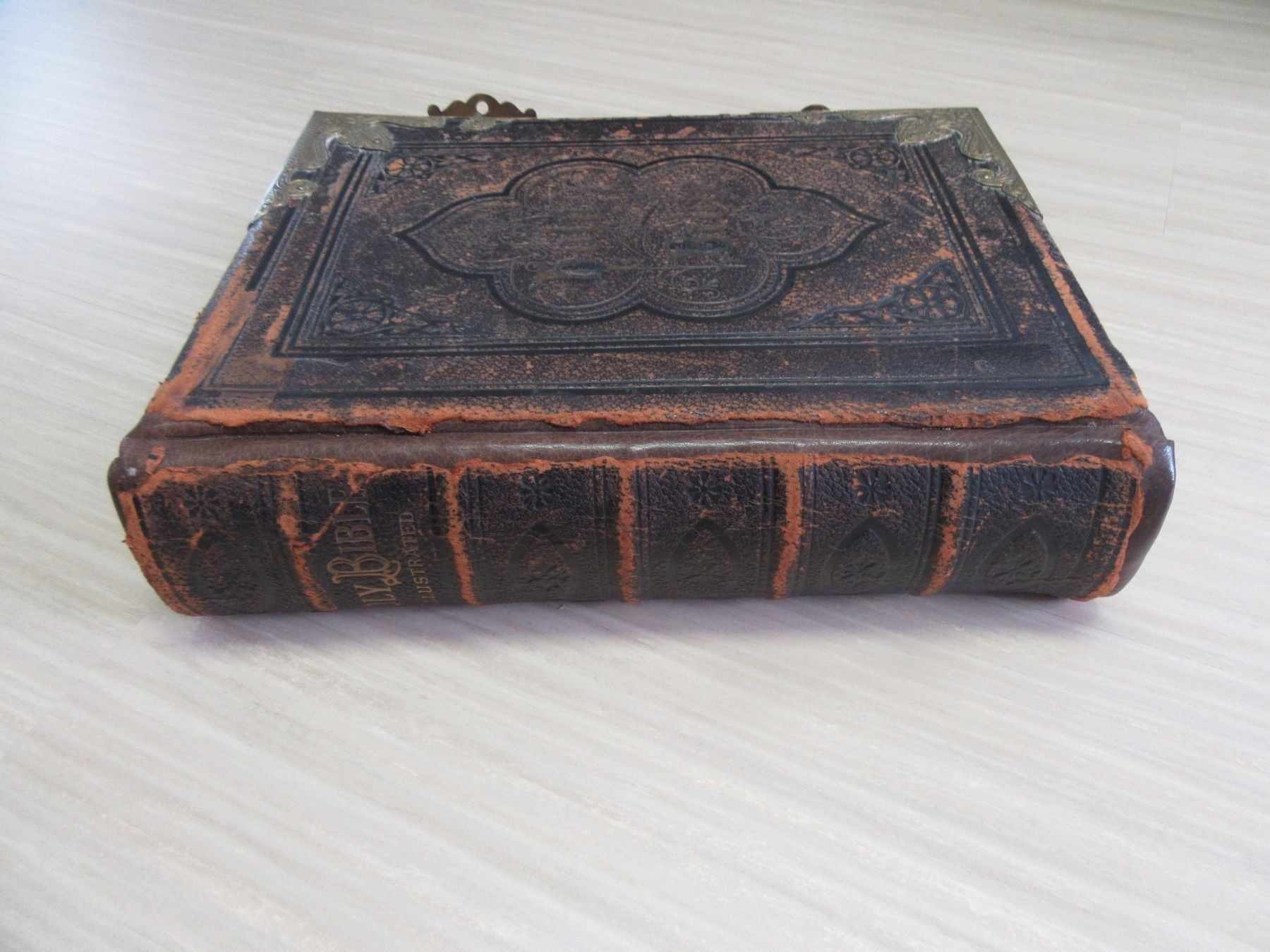 Libri: Antike Bibel – Usato da Buttikon SZ venduto da dew_fb5l
