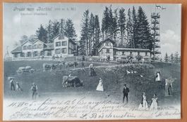 Gruss vom Bachtel 1905