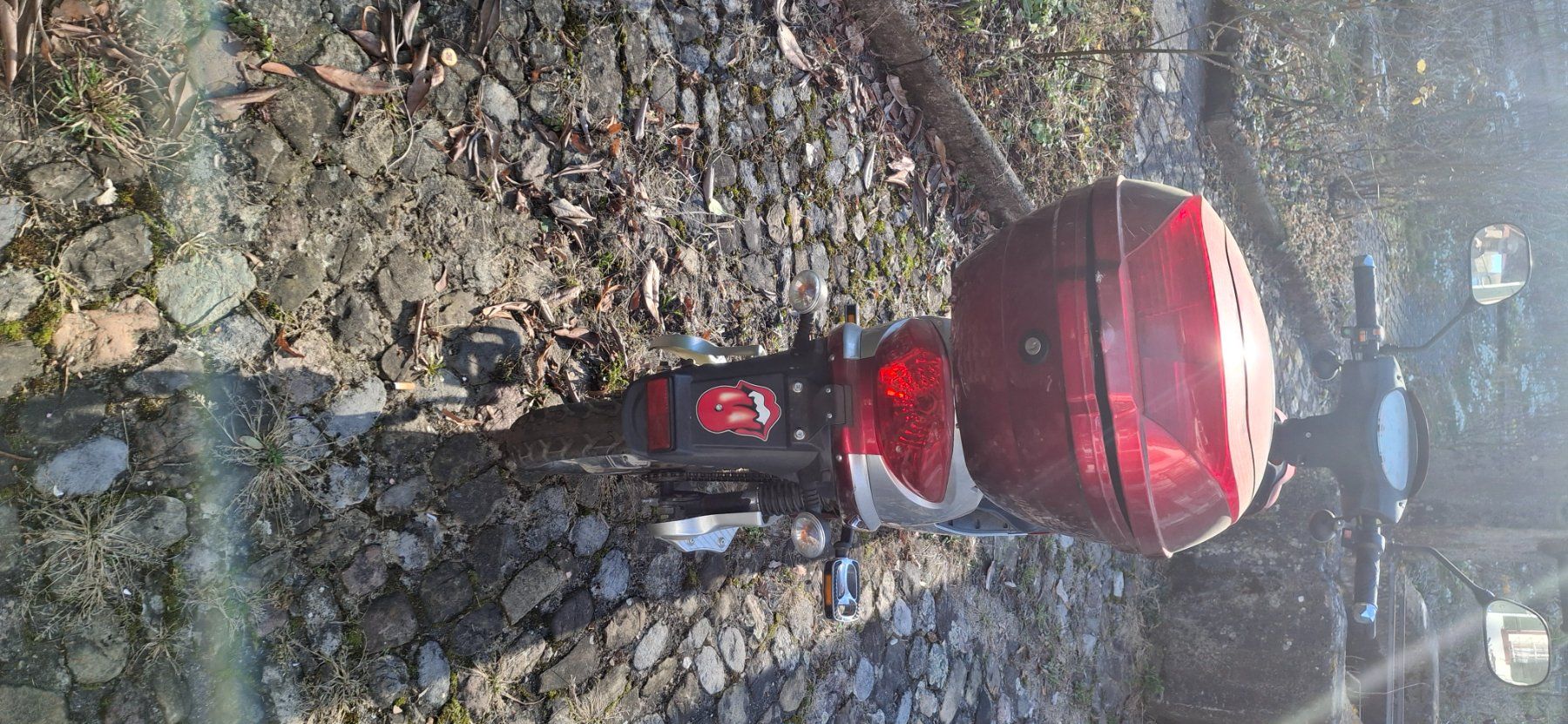 Scooter: E scooter-roller – Difettoso da Kyburg venduto da JBMNT2020 3