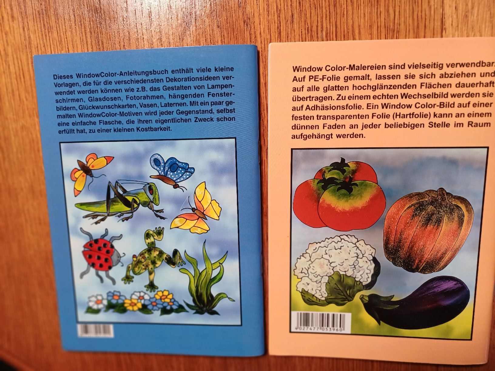 Bücher: 2 Bastelbüchlein allgemein Windowcolor – Neu (gemäss Beschreibung) aus Gächliwil von lesidees 4