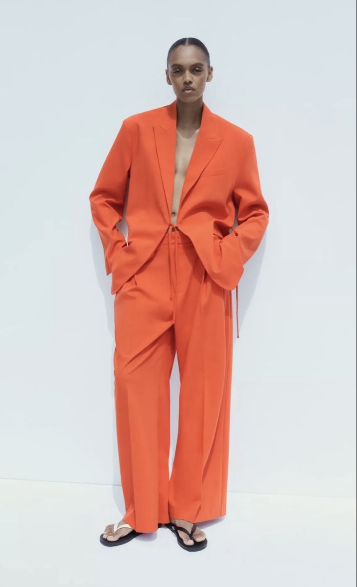 Zara Giacche: Zara blazer – Nuovo e nell'imballaggio originale da Opfikon venduto da ari_7yn2 3