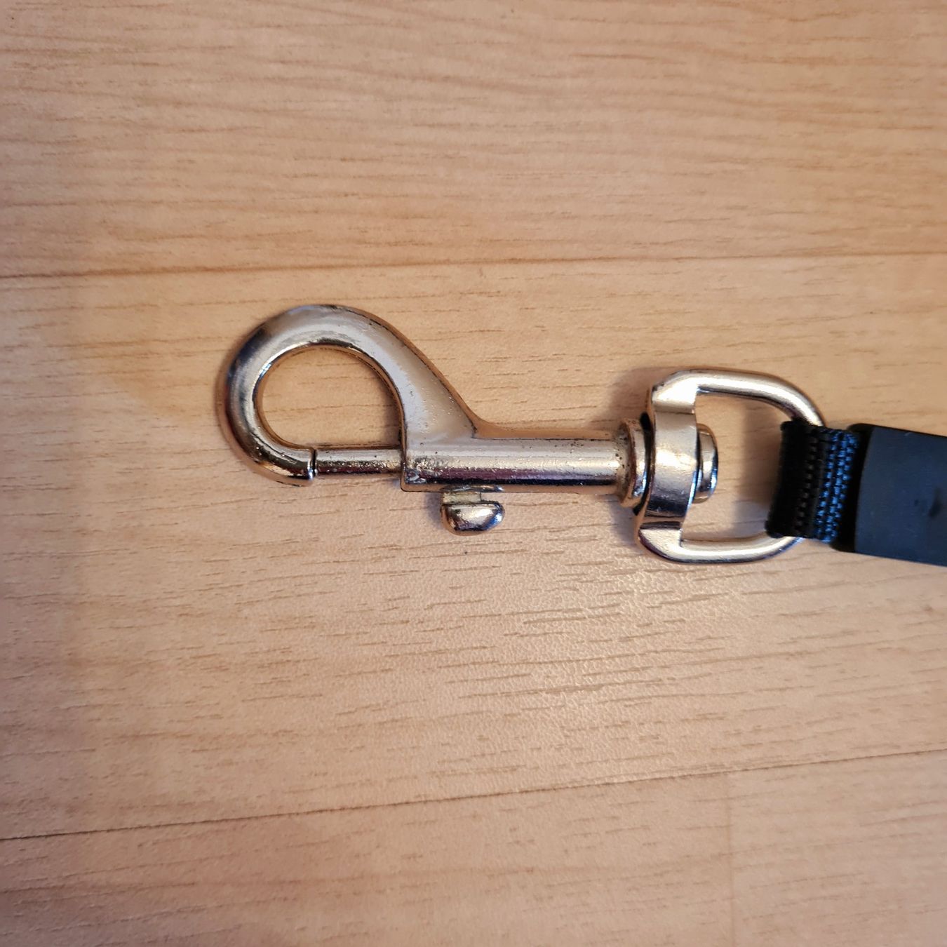 Leine & Halsband: Hundeleine 4,5m mit Taschenlampe – Gebraucht aus Lyss von waldfee10 3