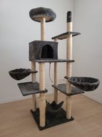 Katzenbaum grau