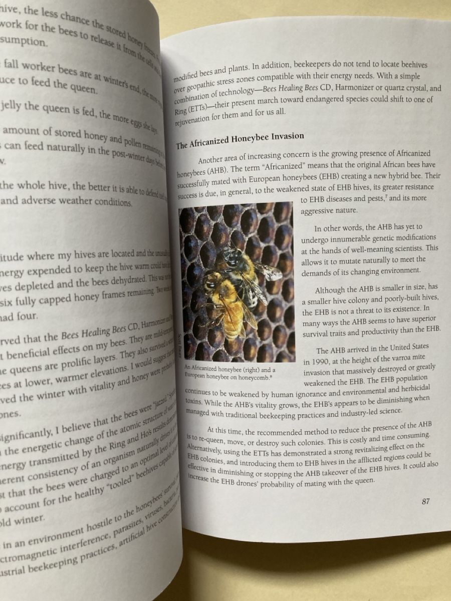 Libri: The Beehive Effect – Usato da Zürich venduto da 000rk 3