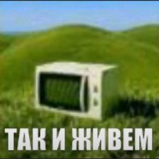 Profile image of nik_b79w