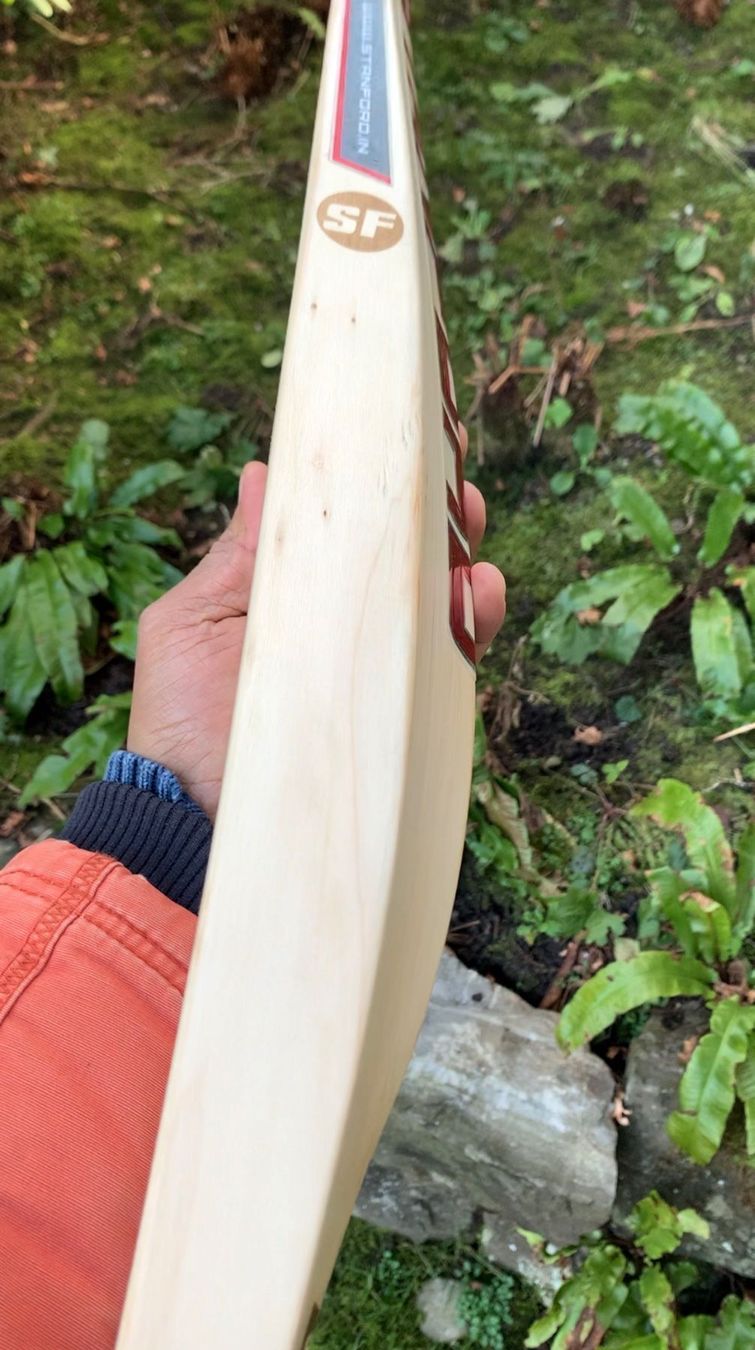 Articoli in legno: SF Terminator Classic Cricket bat SH – Nuovo e nell'imballaggio originale da Luzern venduto da ronymamuni 2