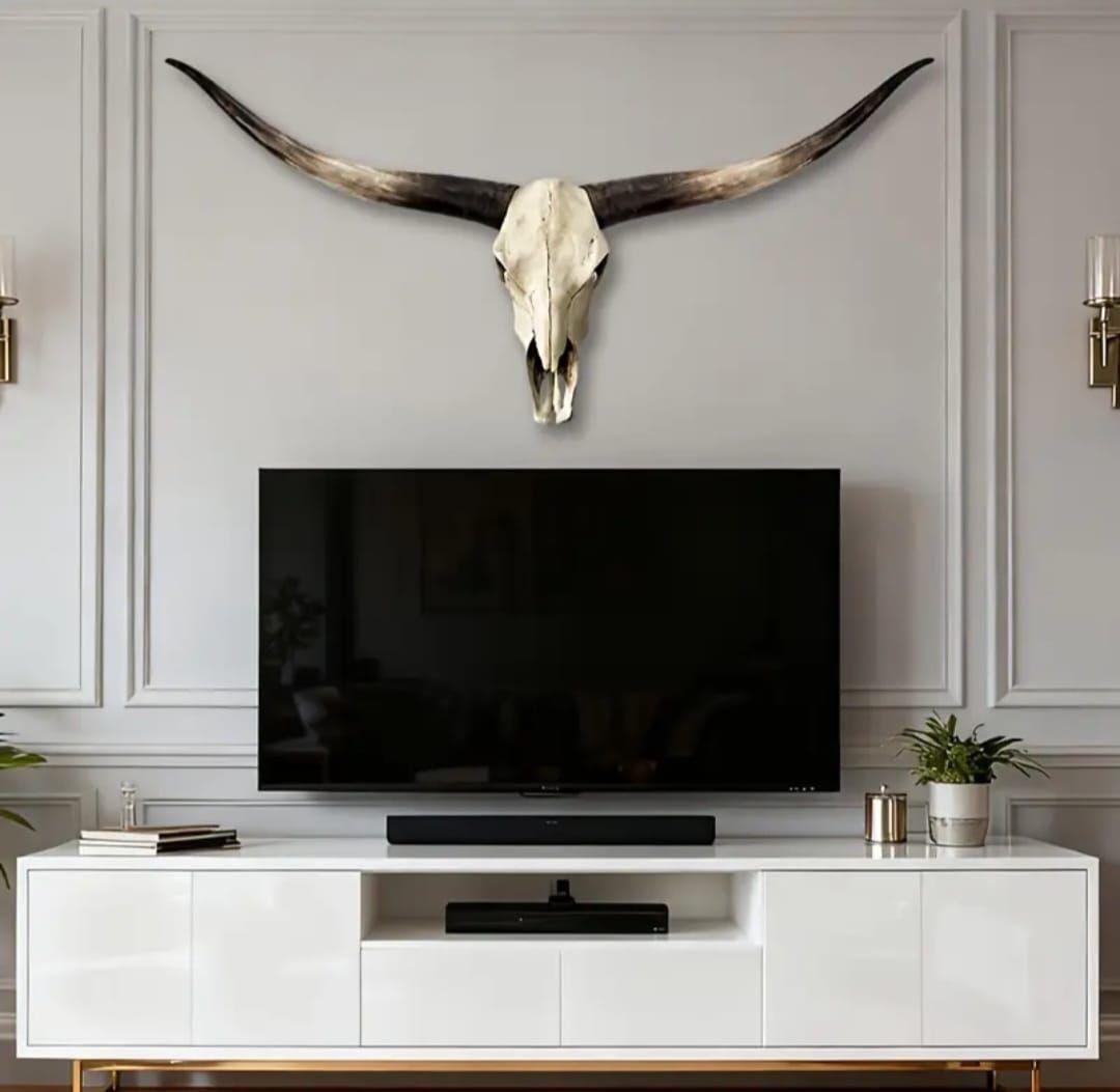 Tutte le decorazioni: Longhorn Kuh Schädel Wanddeko – Nuovo e nell'imballaggio originale da Hohenrain venduto da cars77 2