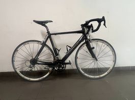 Thömus Sliker Carbon SL  Vélo Route Carbone Campagnolo