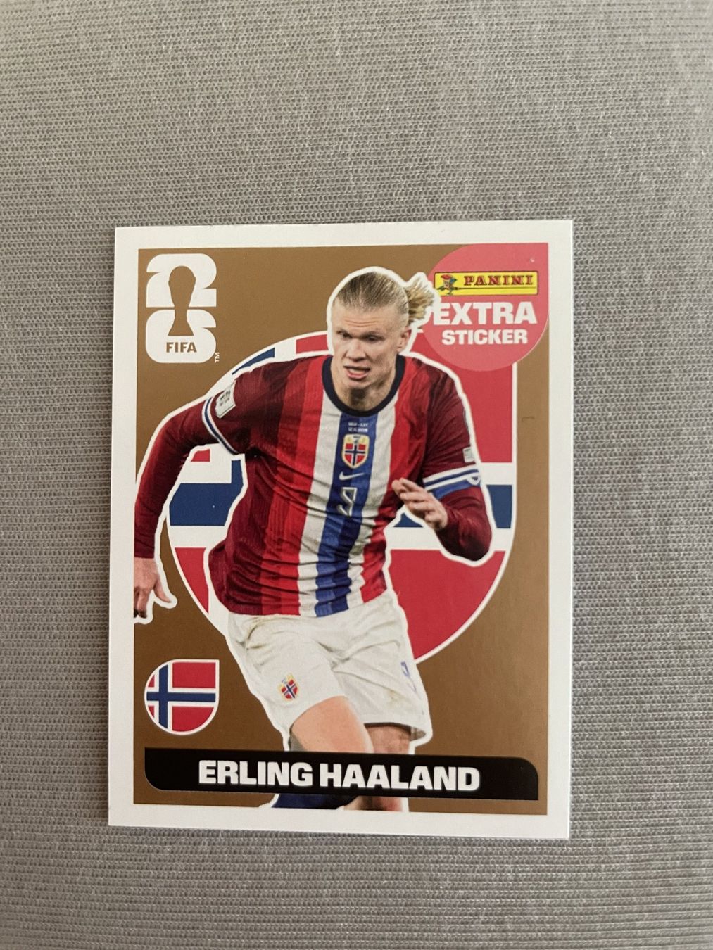 Panini Cartes à collectionner: 4er Set Panini Extras – D'occasion à Winterthur par jsoll1 1