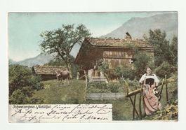 Ansichtskarte Schweizerhaus Haslital Meiringen 1904