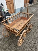 Leiterwagen Leiterwägeli