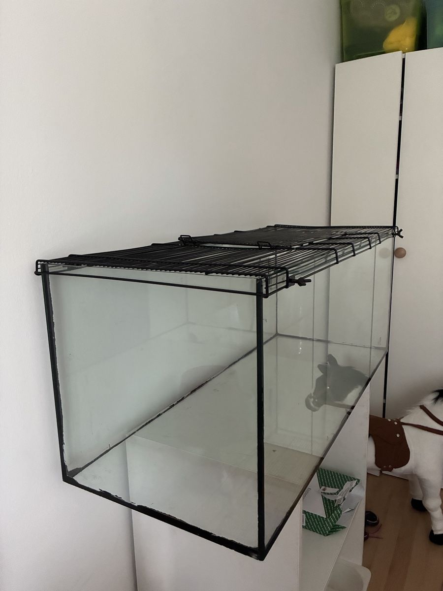 Cages, transport & sécurité: Mäusekäfig – D'occasion à Ittigen par Sam_Spada87 1