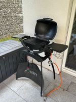 Weber Gasgrill Q1200 W mit ein wenig Zubehör