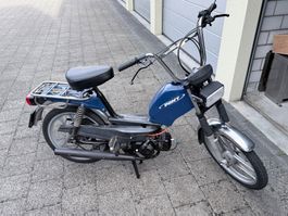 Pony GTX mit Ausweis