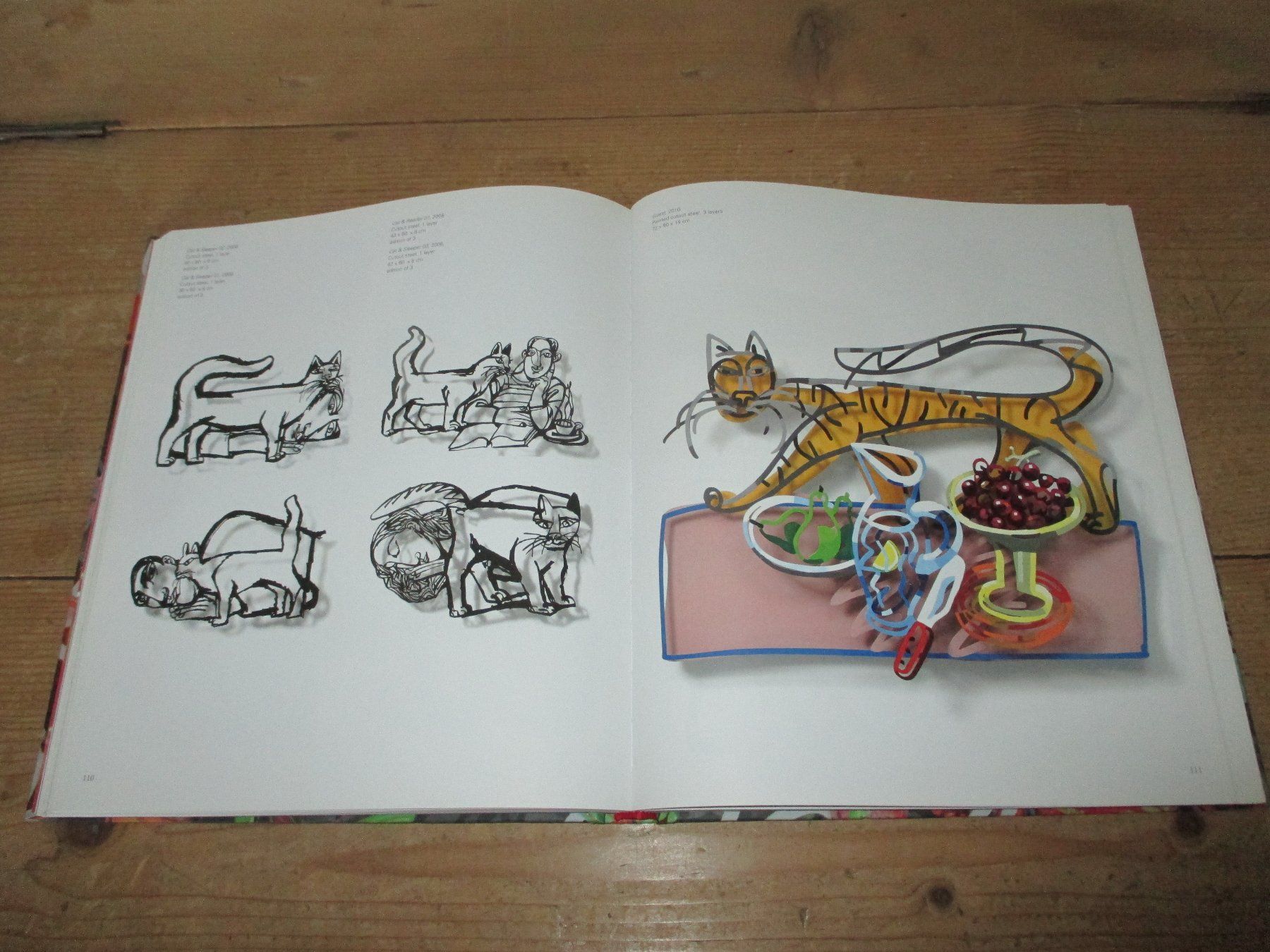 Libri: David Gerstein "Past and Present" Kunstbuch – Usato da Flims - Dorf venduto da Stagediver 5