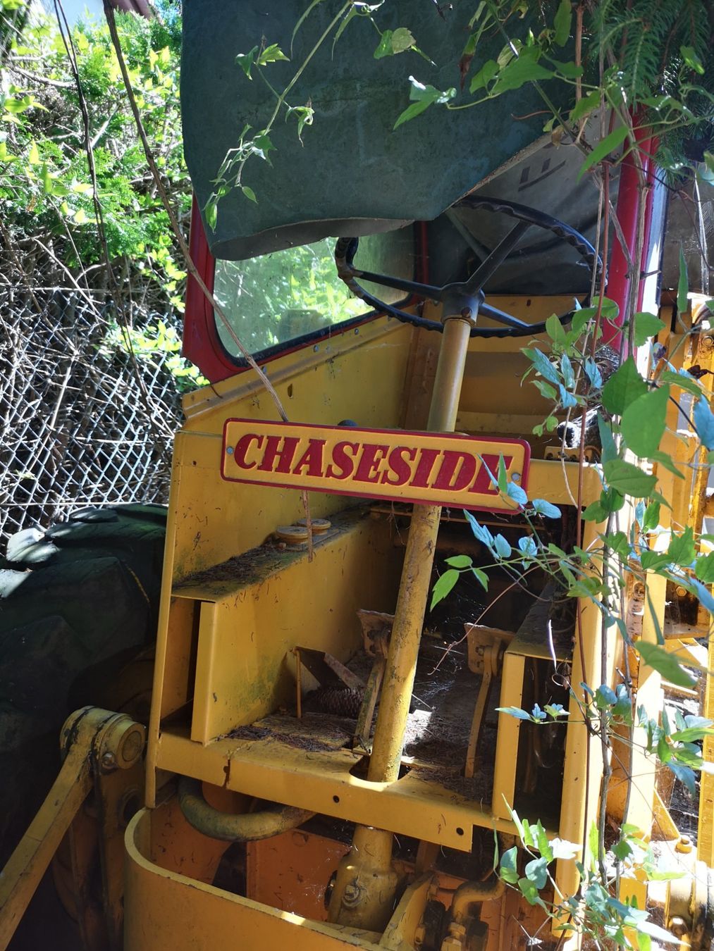 Excavateurs: Bagger Chaseside – D'occasion à Möhlin par Highwaytom 2