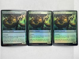 Magic the Gathering: 3x Mossbeard Ancient Foil!