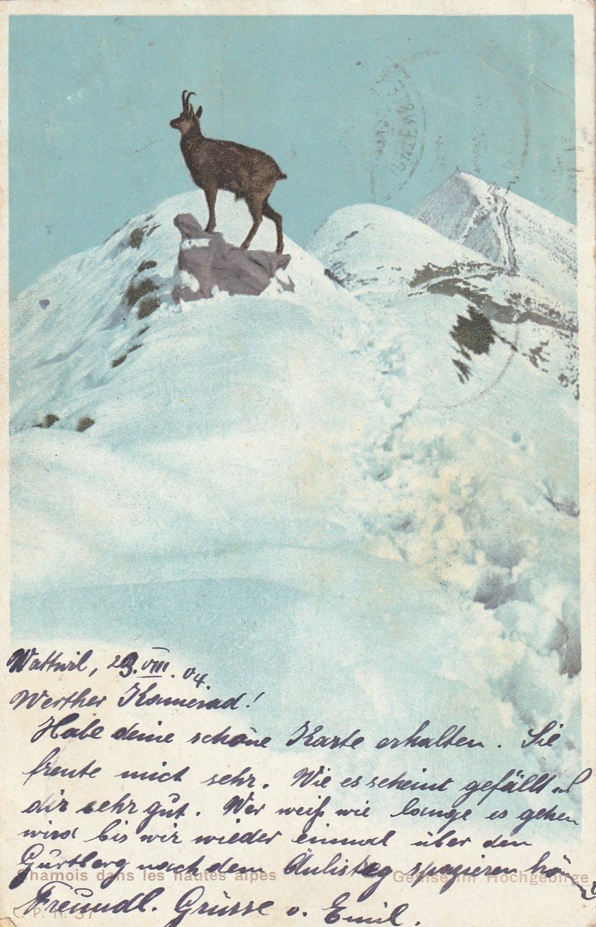 Cartes postales: Alpenlandschaft Gemse Ansichtskarte alt – D'occasion à Rupperswil par Ema10