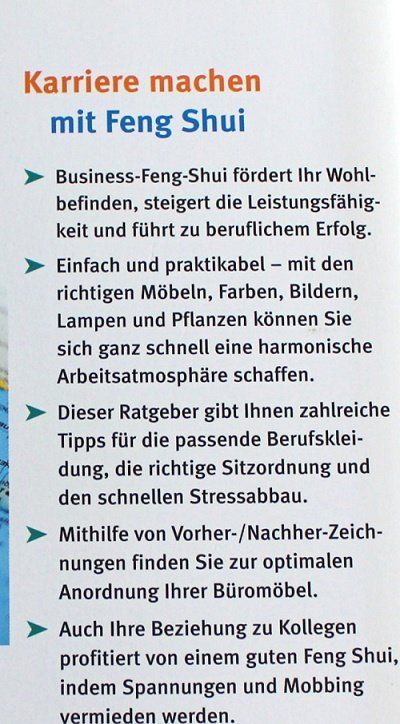 Bücher: Feng Shui Erfolg im Beruf – Gebraucht aus Schlatt TG von annesbuecher 1
