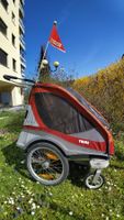 Thule Kinderveloanhänger 2-Plätzer Top Zustand Frühling!