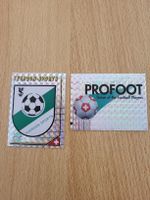 football 95 schweiz panini