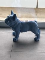 Statue Bulldog Français Design Course Automobile Bleue