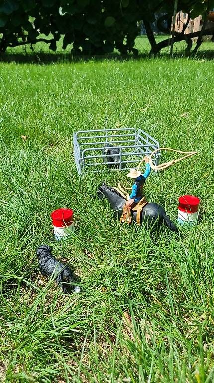 Giocattoli: Set Western Schleich  – Usato da St-Sulpice VD venduto da rog_c28g 1