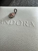 Pandora Charm