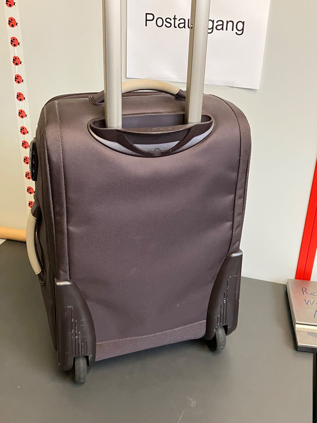 Samsonite Valigie: Handgepäck Koffer Samsonite – Usato da Aarburg venduto da Wendepunkt_Fundgrube 5