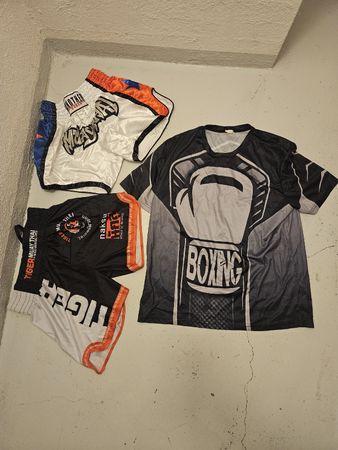 Muay Thai / MMA Set (Shorts + Shirt) – Top Zustand