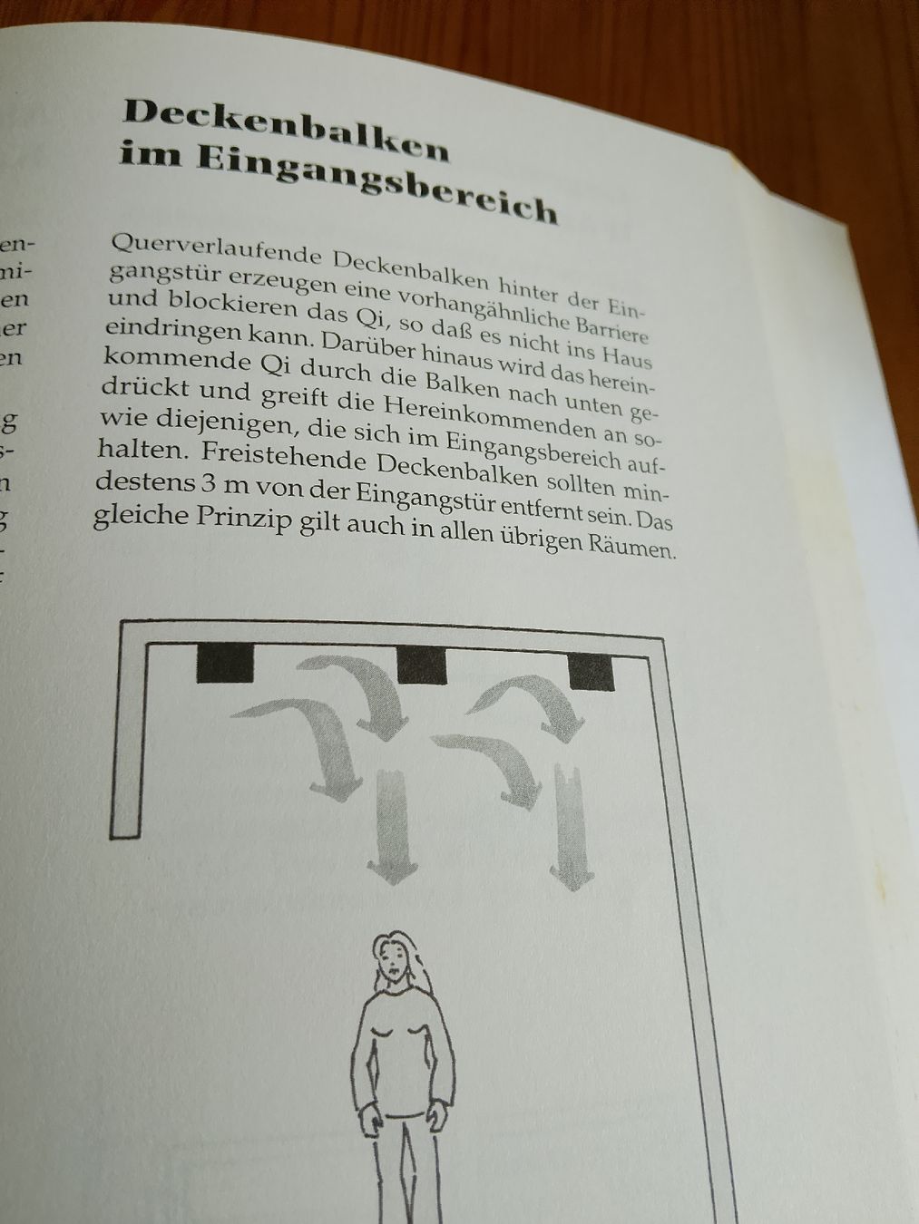Libri: Fengshui und Gesundheit – Nuovo (secondo la descrizione) da Volken venduto da katz5 3