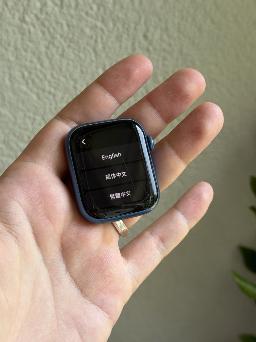 Apple Smartwatch: Apple Watch Series 7 GPS 45mm Blue – Usato da Zürich venduto da idbronskiy 3