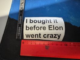 Vinyl Sticker für Tesla - I bought it before Elon went crazy