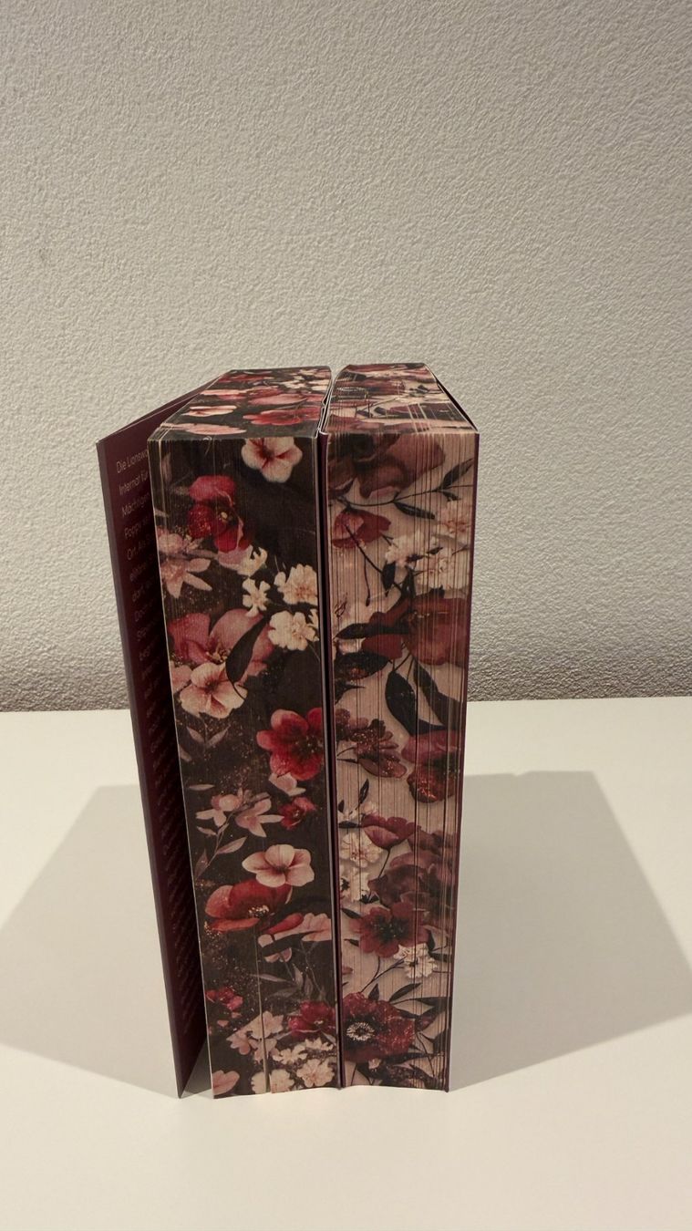 Bücher: Fated Fixation Dilogie - H.C. Dolores – Neu (gemäss Beschreibung) aus Romanshorn von darinaah 3