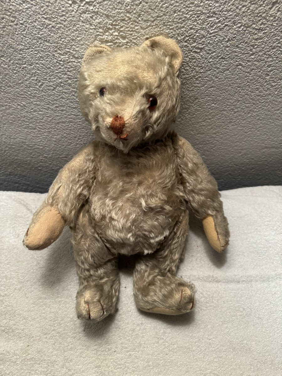 Steiff Spielzeuge: Steiff Teddy – Gebraucht aus Binningen von kal_5nsj