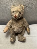 Steiff Teddy