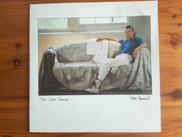 Peter Hammill Love Songs NL Original Erstpr. 1984 Mercury