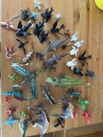 Dinosaurier und Drachen 