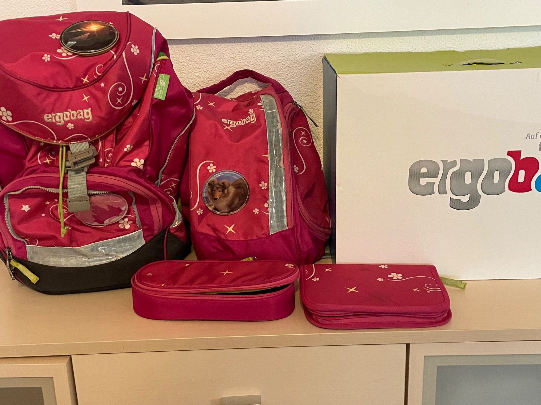 Ergobag Borse & Zaini: ERGOBAG Schulranzen Set, Pink – Usato da Seengen venduto da swossi