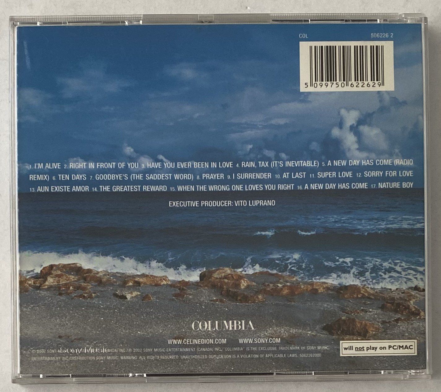 CD: Celine Dion, A New Day Has Come – Usato da Flums venduto da Asquillo 1