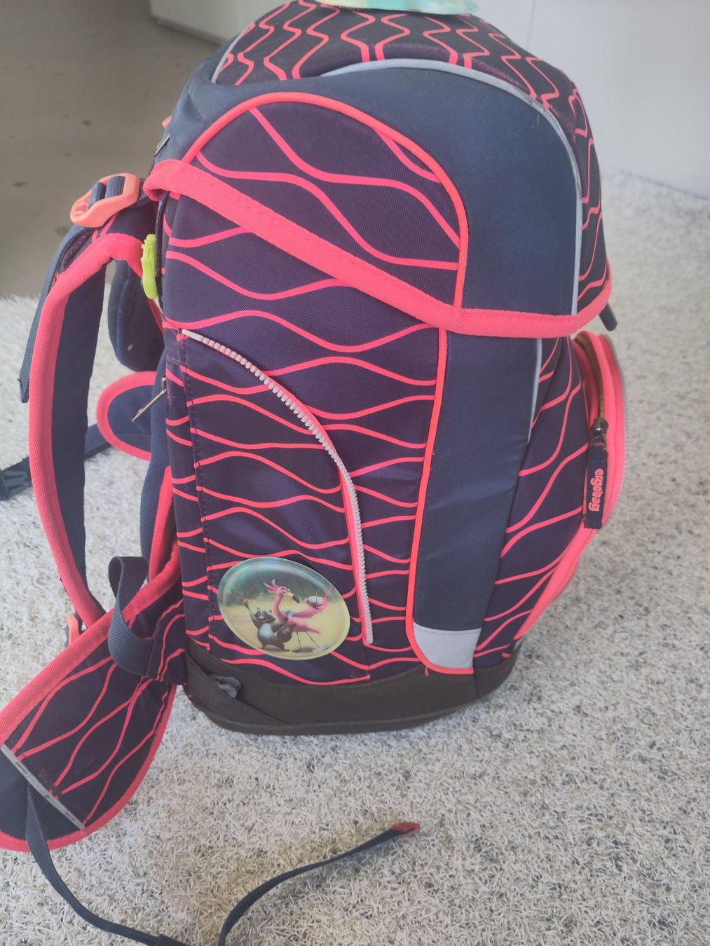 Ergobag Borse & Zaini: Ergobag Schulrucksack pink, gebraucht – Usato da Windisch venduto da bry_rbg2 4