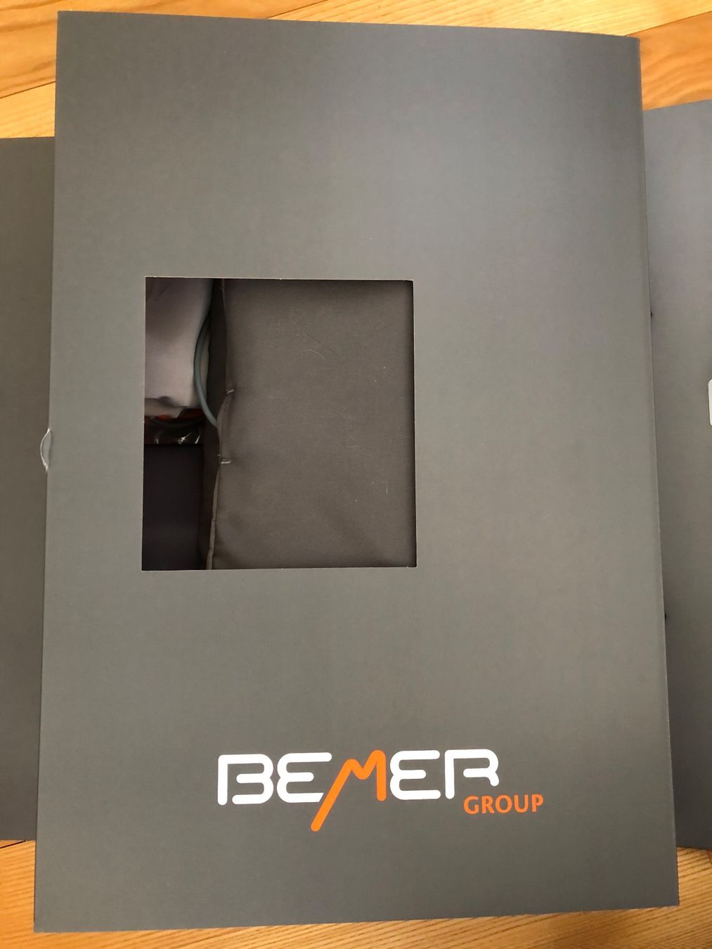 Medizinische Geräte: BEMER PRO SET – Gebraucht aus Hombrechtikon von mhe_8tkd 2