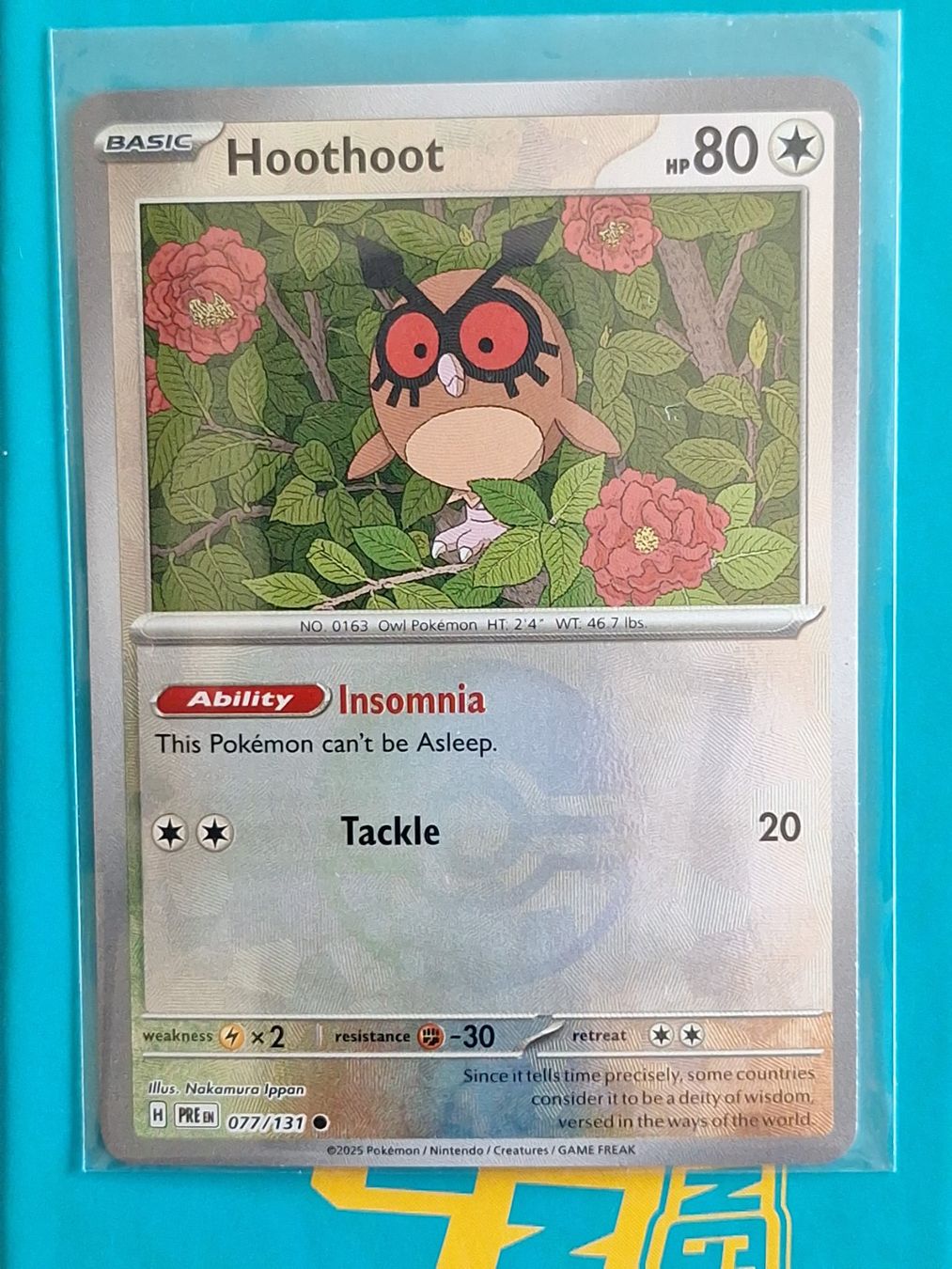 Pokémon Carte collezionabili: Hoothoot - Pokeball Reverse Holo Prismatic Evolution – Usato da Altstätten SG venduto da GGsGameshop