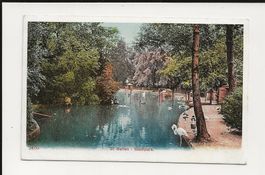 AK ca.1910  St. Gallen Stadtpark mit Flamingo 😍