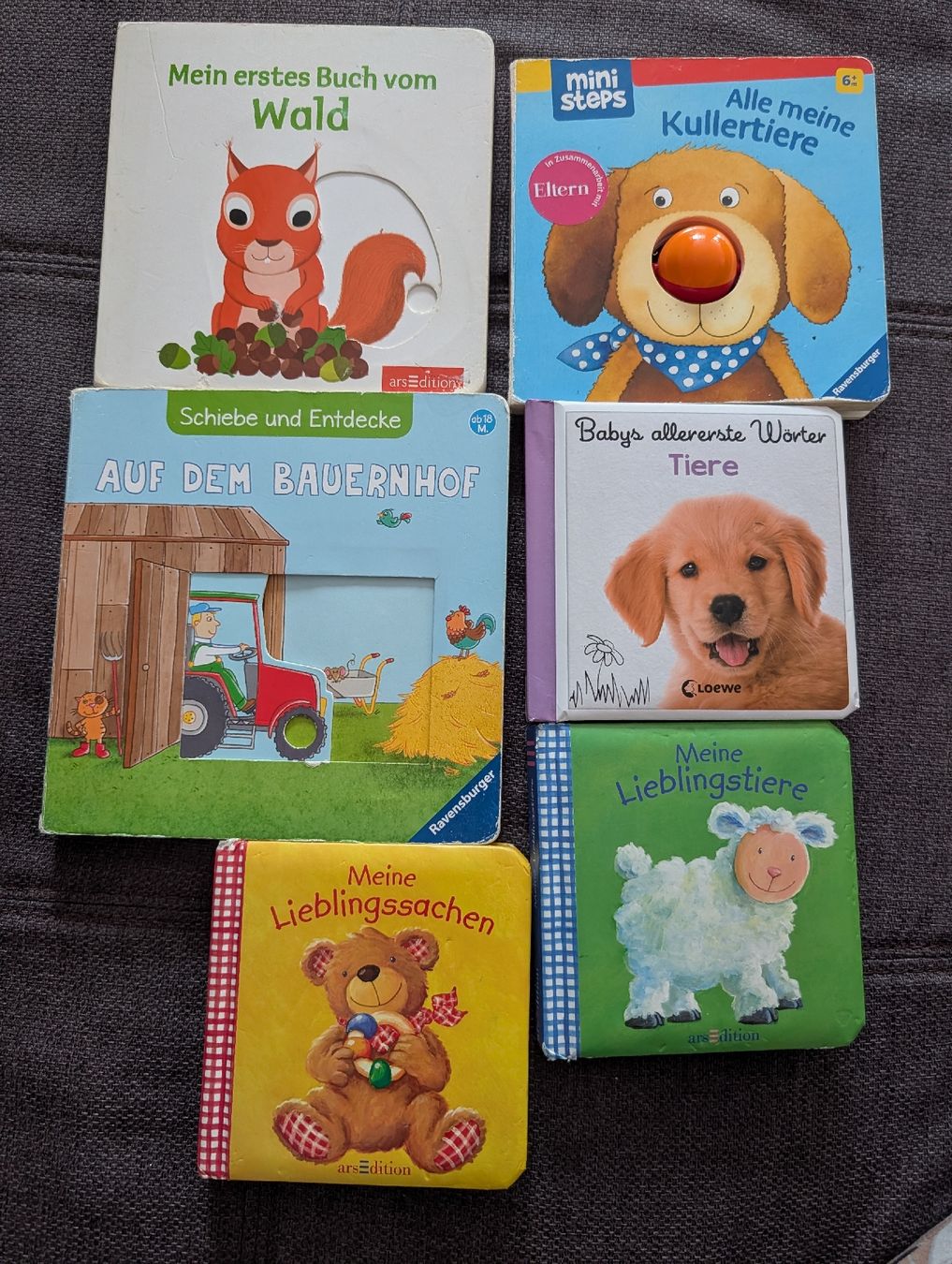 Libri: Baby Bücher ab 6/18 M, gebraucht – Usato da St. Gallen venduto da tadi09