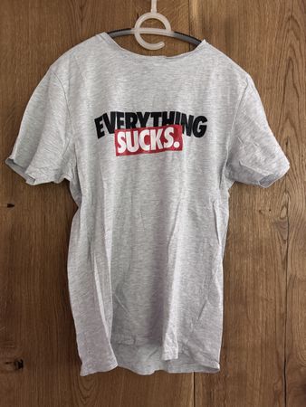 Graues FSBN T-Shirt "Everything Sucks"